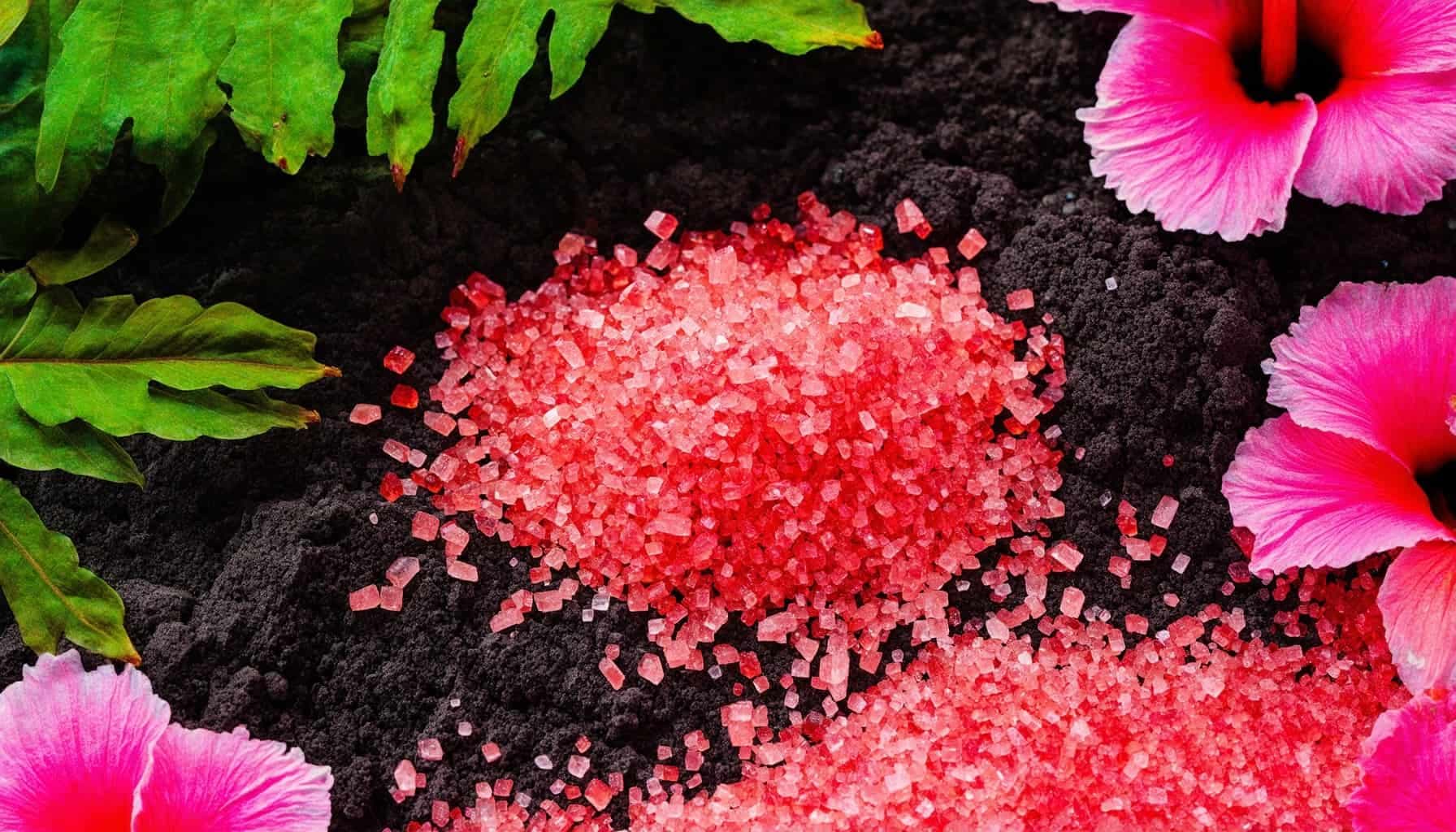Exploring the Unique Uses and Spiritual Significance of Red Hawaiian Sea Salt