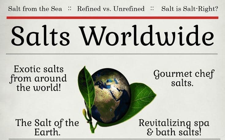 The History of Salt