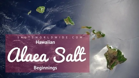 Hawaiian Alaea Sea Salt Beginnings