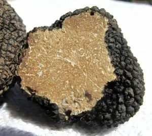 Grilled Portobello Mushrooms with Black Truffle Salt Black Truffle Salt Uses