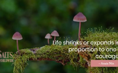 Life shrinks or expands in proportion to one’s courage – Anais Nin