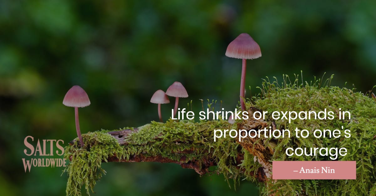 Life shrinks or expands in proportion to one's courage - Anais Nin 1