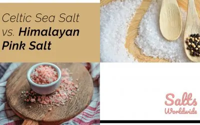 Celtic Sea Salt vs. Himalayan Pink Salt
