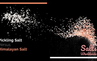 Pickling Salt vs Himalayan Salt