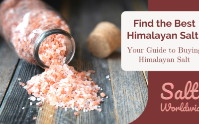 Find the Best Himalayan Salt: Your Guide to Buying Himalayan Salt
