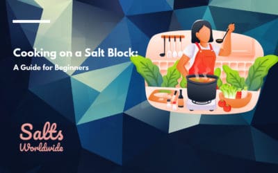 Cooking on a Salt Block: A Guide for Beginners